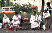 Bus Stop (Florence)