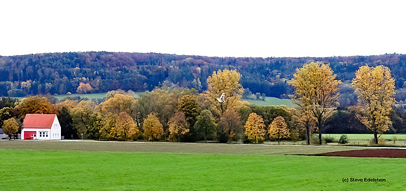 Nuremburg Farm (Germany)